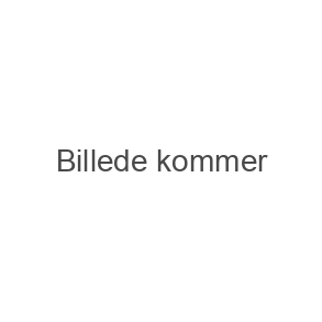 KITE
