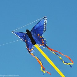 Sommerfugl kite