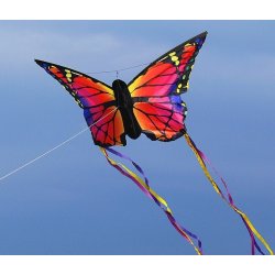 Sommerfugl kite
